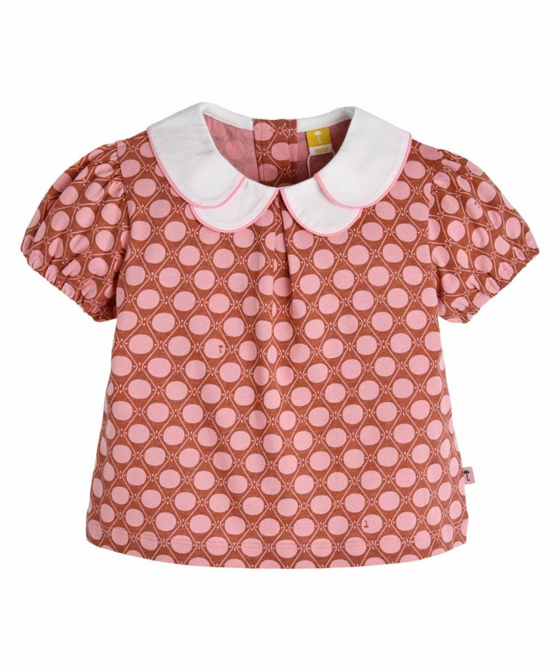 ゆず☆モルモット服 こどもサイズ3点おとなサイズ1点 三英貿易（ぬいぐるみ） ぬいぐるみ ピュアふわフレンズ